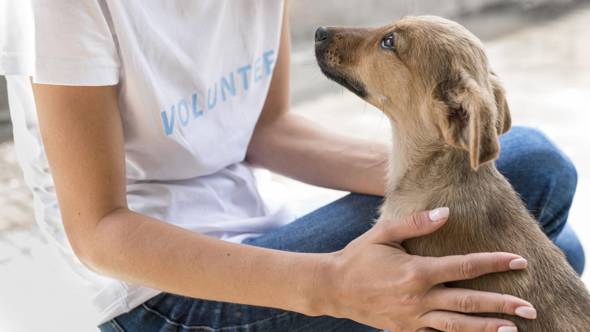 Volunteer in white shirt holding and petting a brown dog outdoors