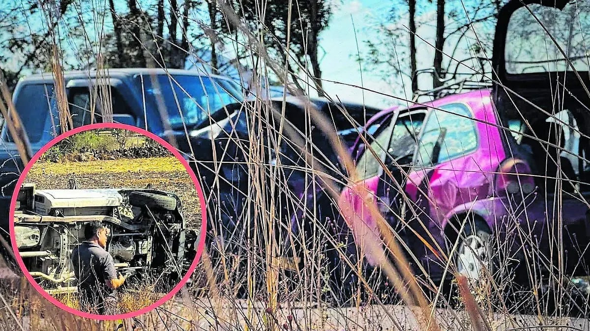 Abandoned cars overgrown with vegetation and vines in a junkyard, with inset showing engine detail